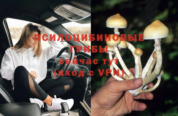 МДПВ Хадыженск