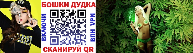 Конопля план  Покров 